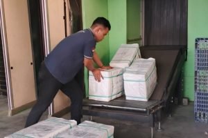 DOMESTIC AIRFREIGHT
