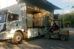 wbtrucking-buleleng